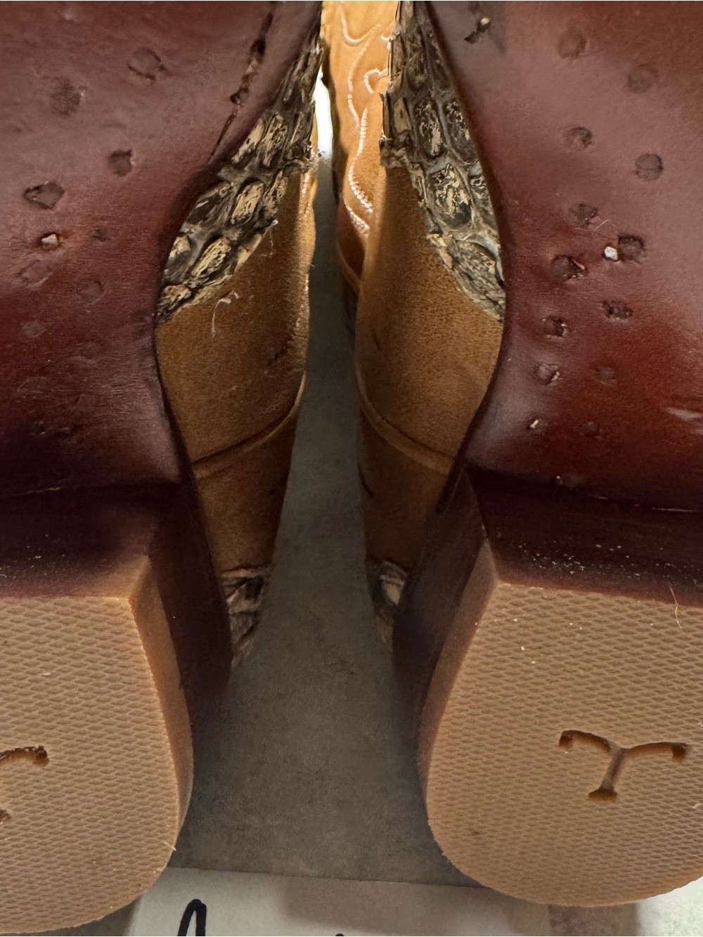 Limited edition Loretta Python - Picture 6 of 6